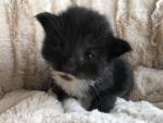 21. Juli 2019